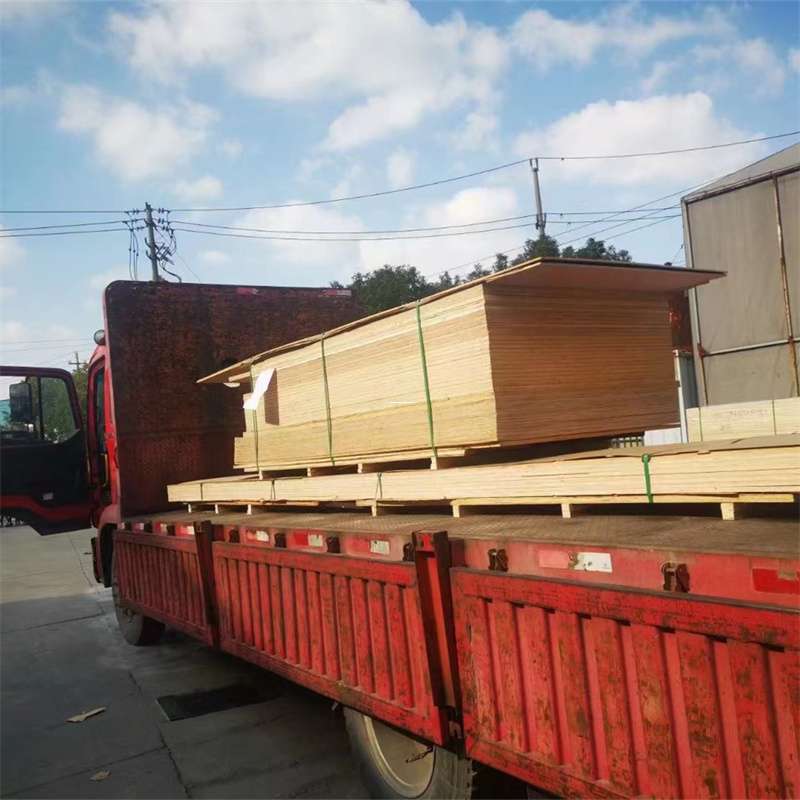福建福州闽侯县至塔城货运专线，一站式物流服务助您成功
